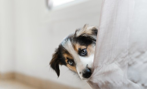 gettyimages-1435040501-170667a