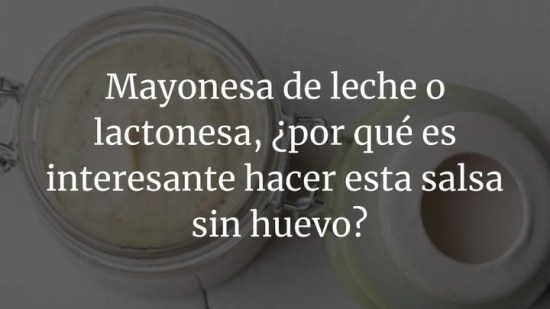 Mayonesa De Leche O Lactonesa