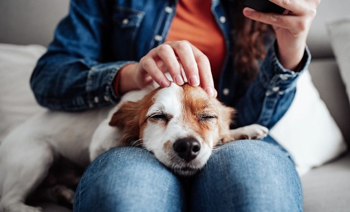 gettyimages-1357930308-170667a