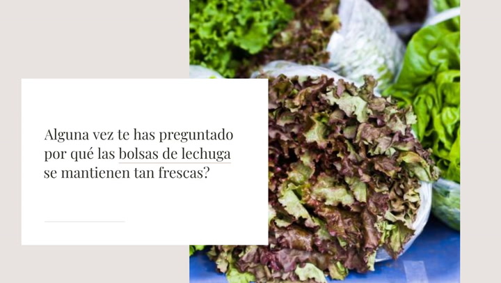 C Mo Se Mantienen Frescas Las Bolsas De