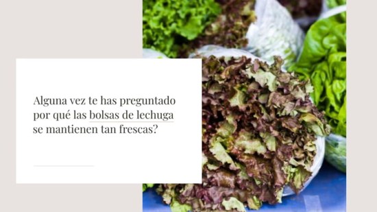 C Mo Se Mantienen Frescas Las Bolsas De