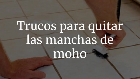 Trucos para quitar las manchas de moho