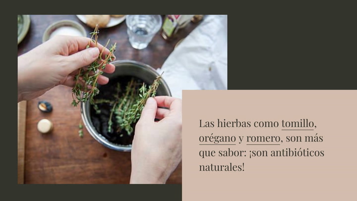 Sab As Que Estos 10 Alimentos Act An Co.