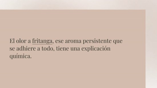 Por Qu Se Produce El Olor A Fritanga