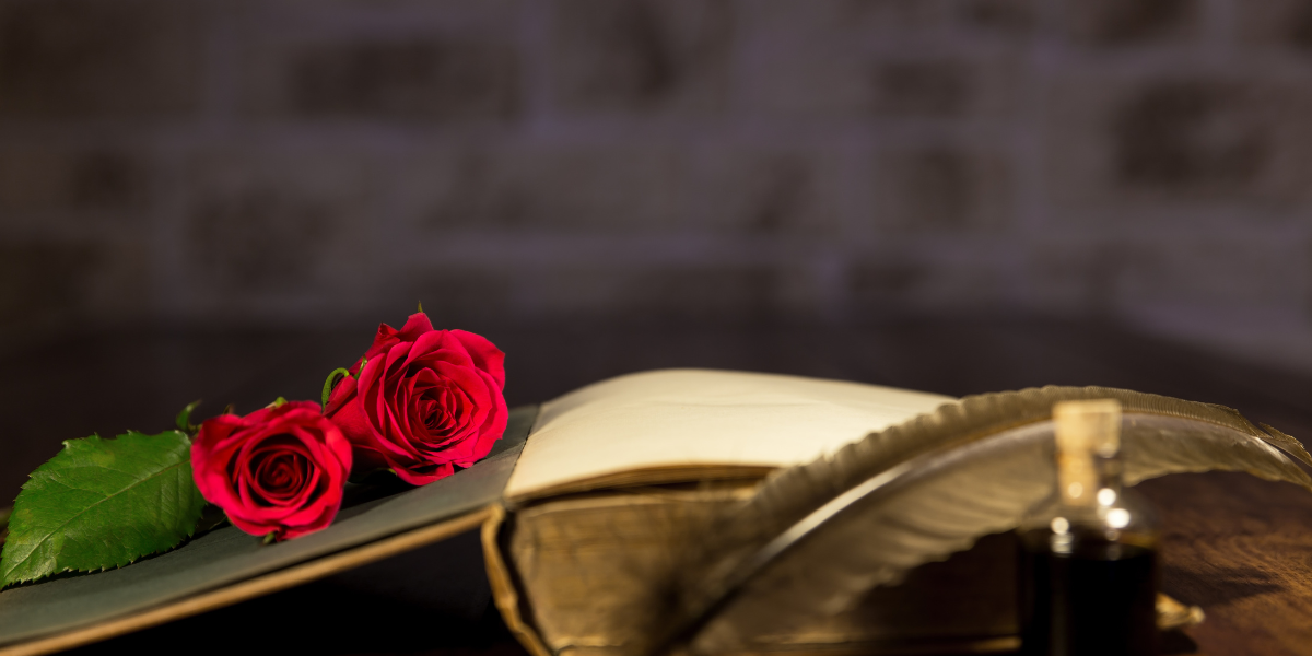 Novelas recomendadas febrero