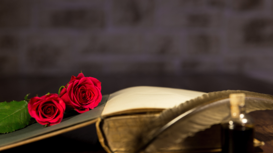 Novelas recomendadas febrero