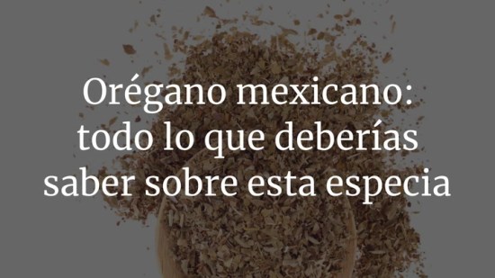 Orégano mexicano: todo lo que deberías saber sobre esta especia