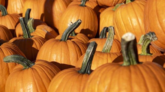 pumpkins-8287968_1280