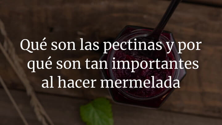 Qué es la pectina y por qué es tan importante al hacer mermelada
