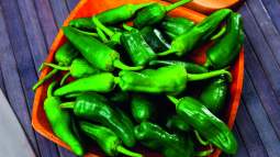 Pimientos de Padrón.