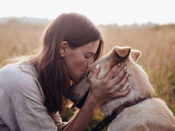 254ec195c5c49ceef38e4db8d52390d6