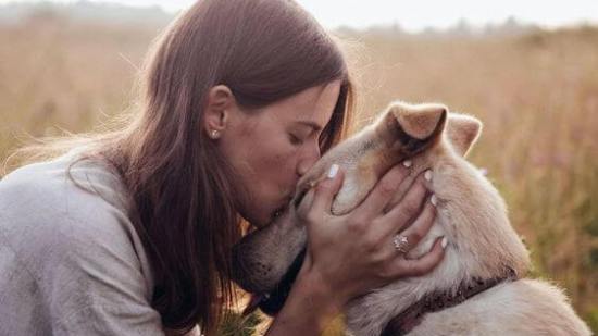 254ec195c5c49ceef38e4db8d52390d6