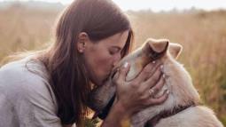 254ec195c5c49ceef38e4db8d52390d6