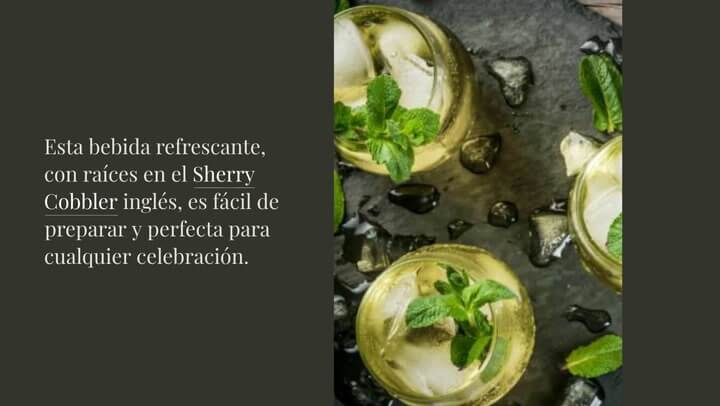 C Mo Hacer Un Buen Rebujito