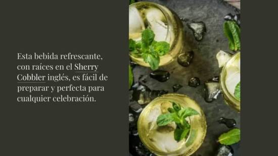 C Mo Hacer Un Buen Rebujito