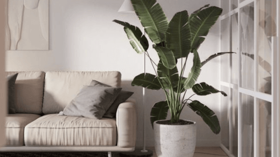 Captura de pantalla 2024-03-09 a las 19.27.22