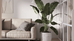 Captura de pantalla 2024-03-09 a las 19.27.22