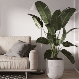 Captura de pantalla 2024-03-09 a las 19.27.22