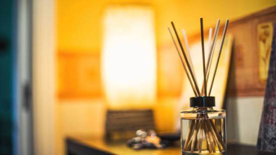 Leroy Melin Ambientador