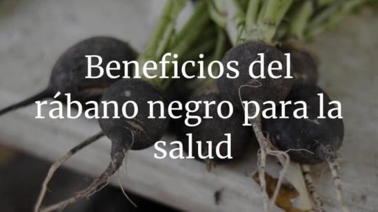 ¿Por qué deberías añadir el rábano negro a tu dieta?