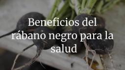 ¿Por qué deberías añadir el rábano negro a tu dieta?