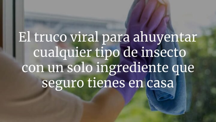 El truco viral para ahuyentar cualquier tipo de insecto con un solo ingrediente que seguro tienes en casa