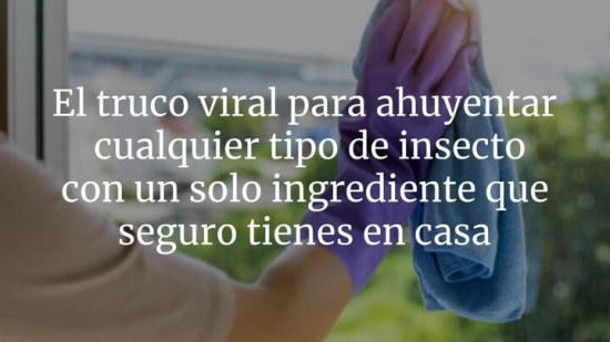 El truco viral para ahuyentar cualquier tipo de insecto con un solo ingrediente que seguro tienes en casa