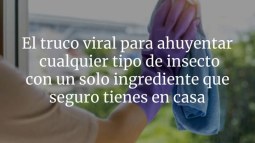 El truco viral para ahuyentar cualquier tipo de insecto con un solo ingrediente que seguro tienes en casa
