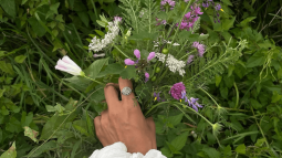 Captura de pantalla 2024-03-19 a las 19.35.28