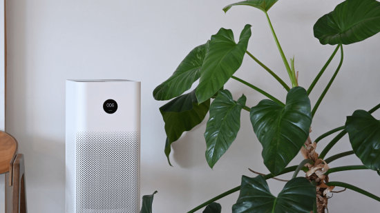 purificador aire xiaomi aniversario aliexpress