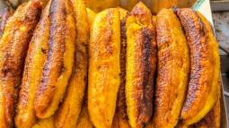 platano macho