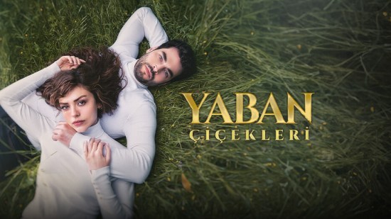 yaban cicekleri.