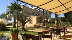 Ikea baja el precio de su toldo pérgola más vendido para la terraza o el jardín: resistente, fácil de quitar y ahora rebajado 40 euros