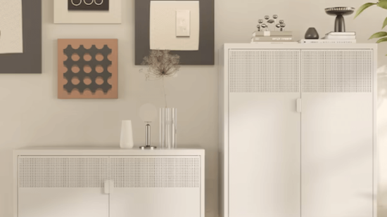 Armario multiusos y caja almacenaje FlexiSpot