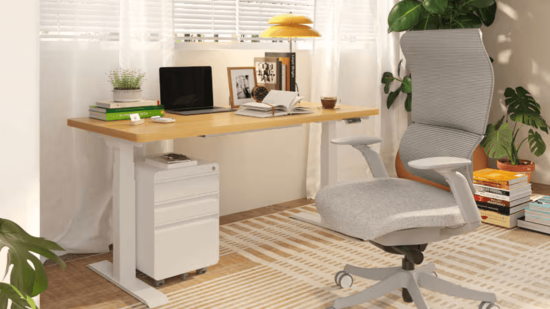 Portada mejores ofertas sillas escritorio flexispot