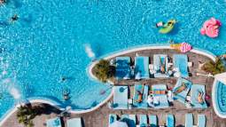 elena-rabkina-fiifly0Uxa8-unsplash