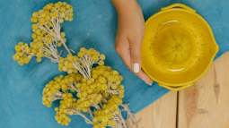 Tiger le hace la competencia a Primark o Zara Home con esta vajilla de limones tirada de precio ideal para vestir la mesa al más puro estilo italiano