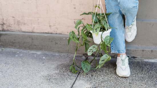 Carrefour se adelanta a julio y rebaja a menos de 20 euros su clon de las zapatillas Geox que las mujeres +50 querrán para caminar en verano
