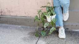 De Skechers a Geox: las zapatillas rebajadas a la mitad en El Corte Inglés que prometen comprar las mujeres de 50 y 60 años para llevarlas todo el año