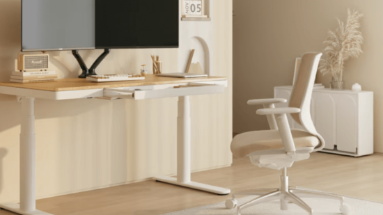 Octavo aniversario FlexiSpot agosto