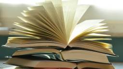 Cortesía de Pexels.