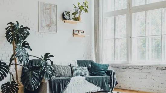 Cortesía de Pexels.