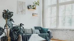 Cortesía de Pexels.