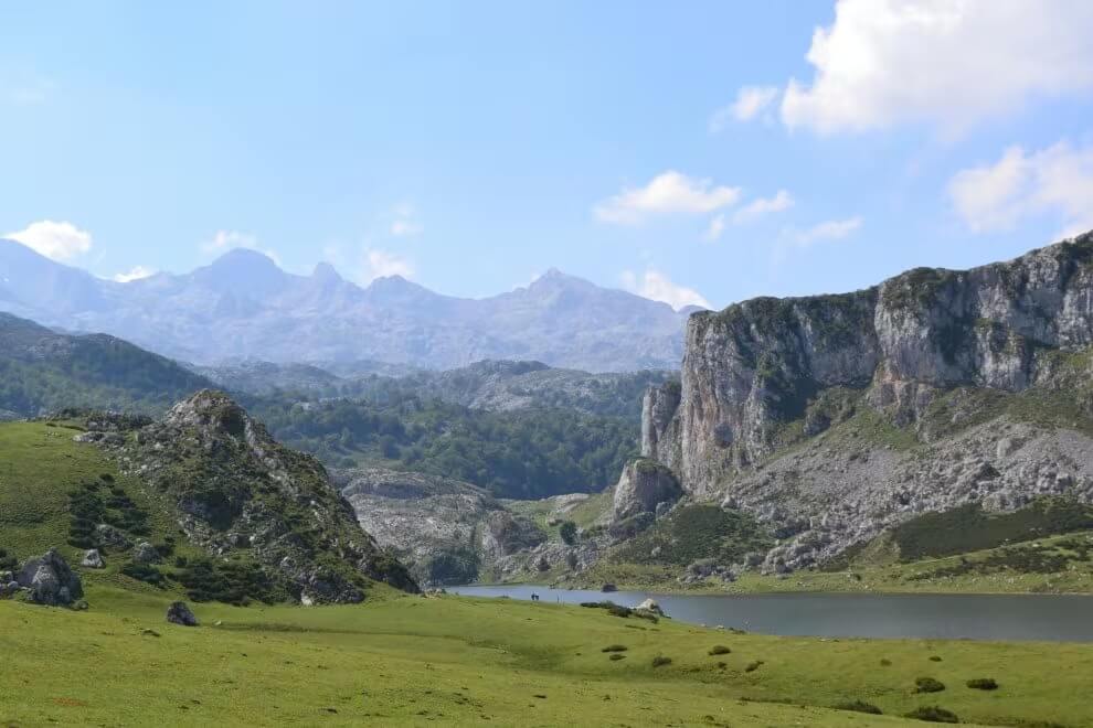 Cortesía de Pexels.