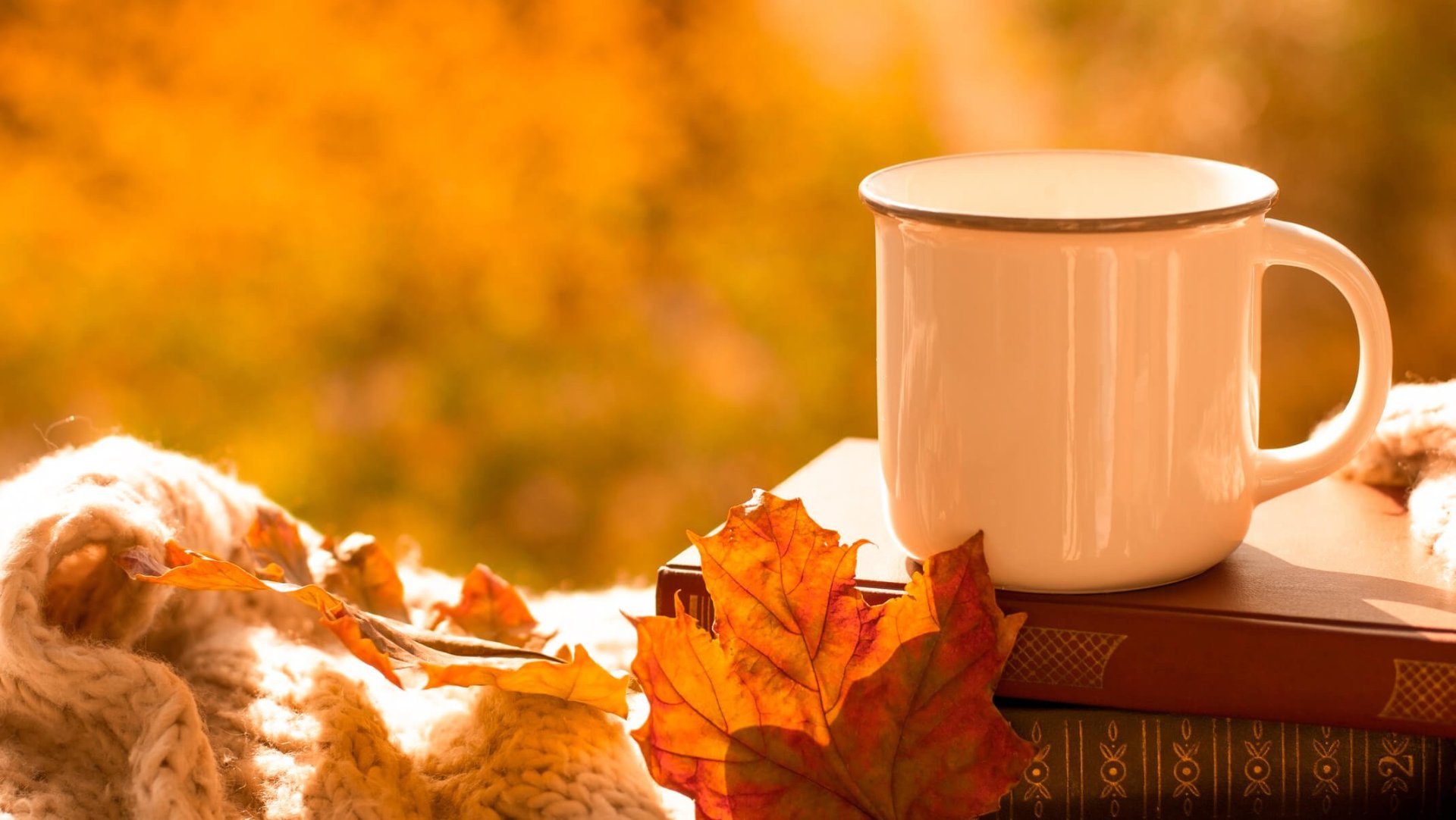 Esta es la alternativa a Ikea o Zara Home para encontrar vajillas bonitas y tiradas de precio con las que vestir la mesa este otoño