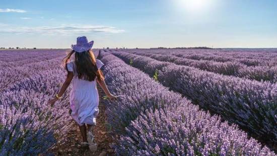 iStock - Valentyn Volkov