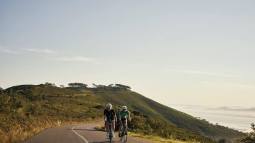 iStock - Josh Hodge.