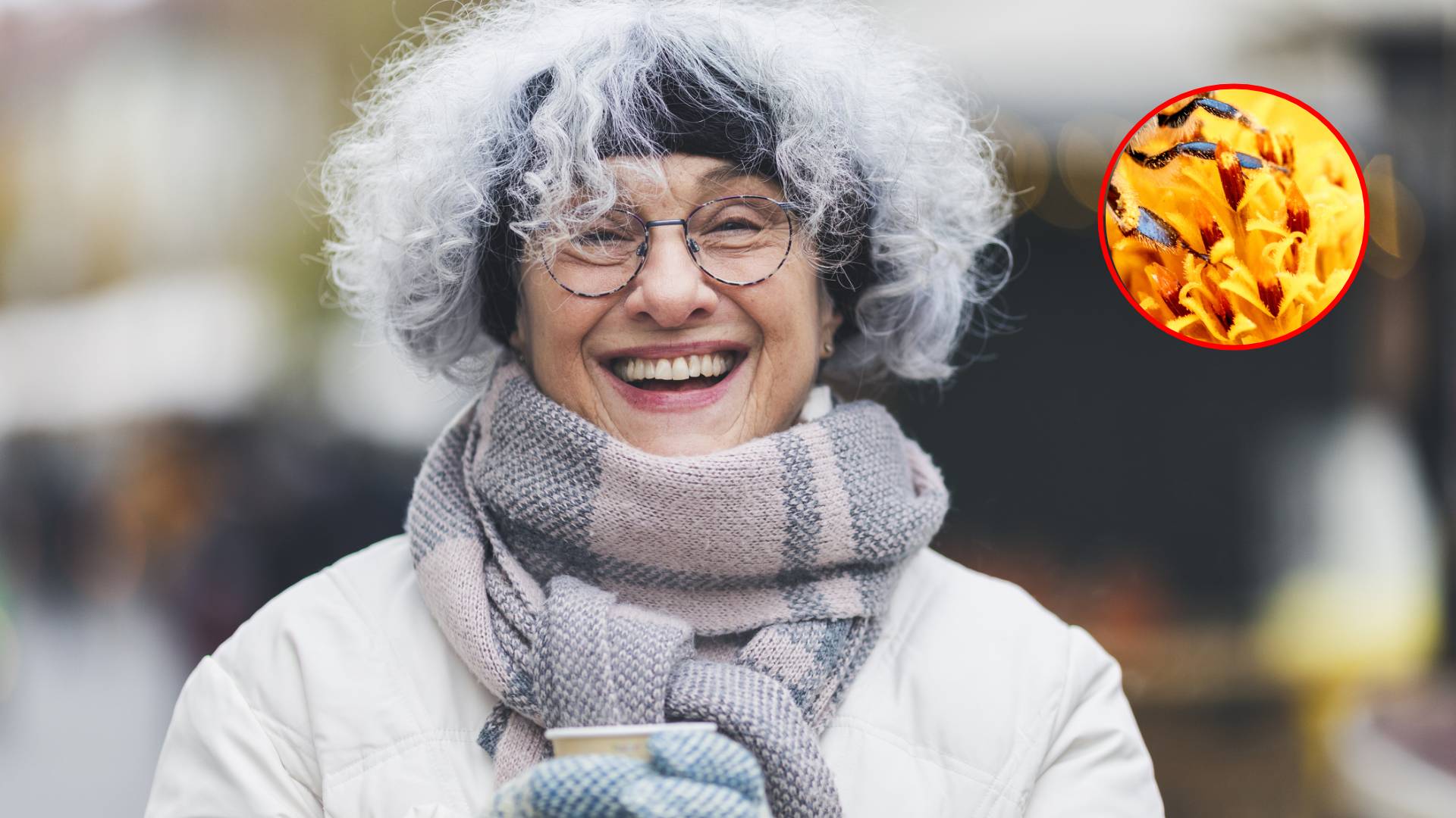 alimento-propoleo-infecciones-