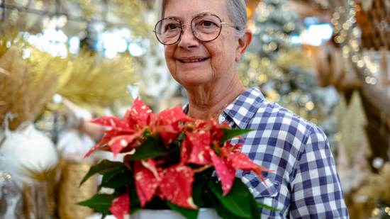 Cómo acabar con las plagas que atacan tu flor de Pascua en Navidad - Fuente: iStock
