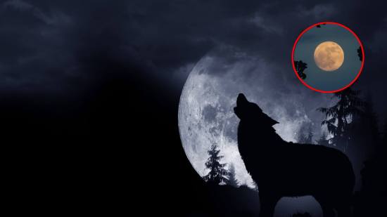 El secreto detrás de la Luna del Lobo 2025: ¿qué simboliza y por qué es tan especial la primera luna llena del año?